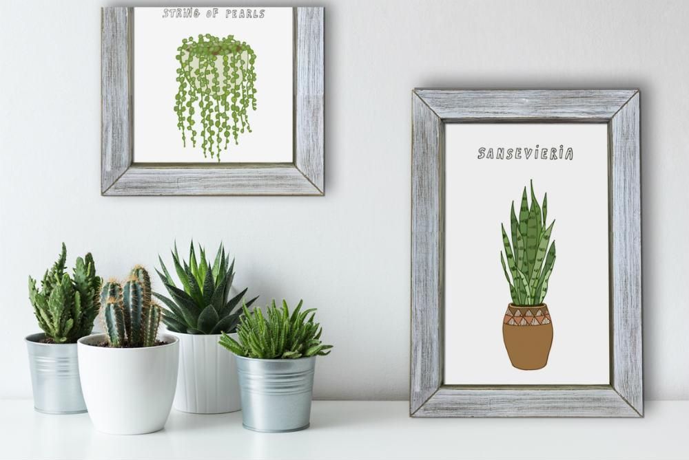 絵画 ホームプラントサボテン 絵画や壁掛け販売 日本唯一の風景専門店 R あゆわら 絵画 ホームプラントサボテン 絵画や壁掛け販売 日本唯一の風景専門店 R あゆわら