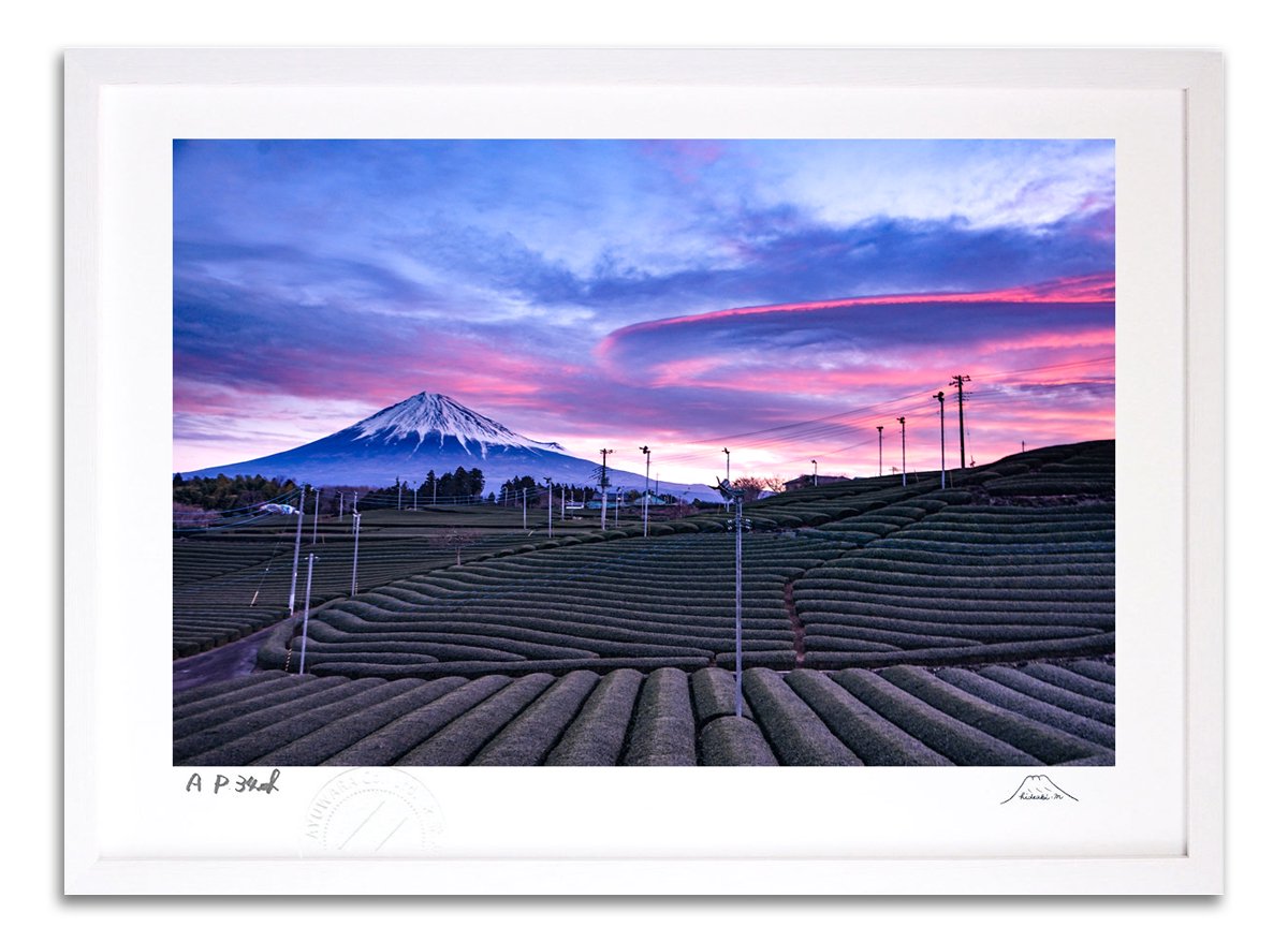 版画 絵画 吊し雲と茶畑富士 富士山 - 絵画や壁掛け販売｜日本唯一の 