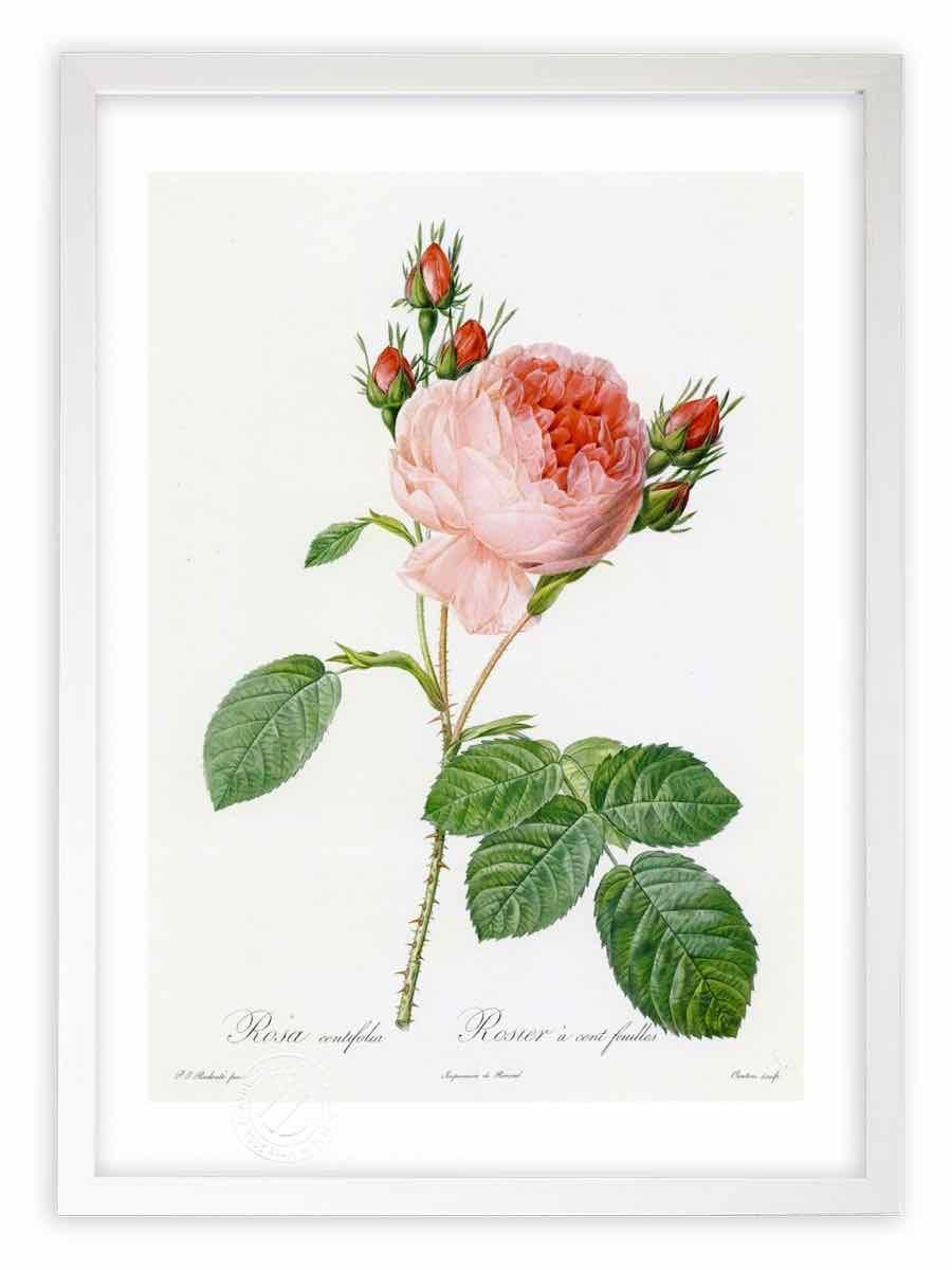 薔薇園」 手描き 油絵 風景画 原画 - 絵画