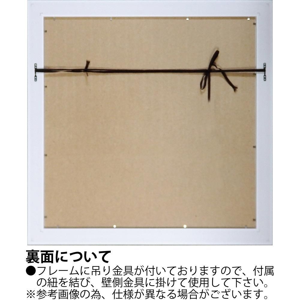 絵画 ダンフイ ナイ「ジョイ オブ ガーデン」 アートフレーム 巣ごもり リビング 玄関 インテリア 壁掛け 額付き 額入り 額装込 プレゼント 花 フラワー ギフト 御祝 模様替え 癒し