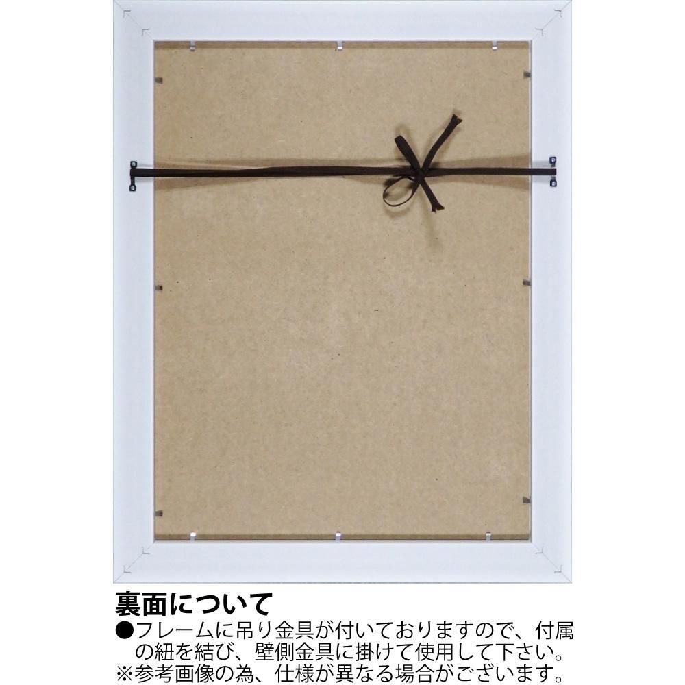 絵画 ジャネット ヴェルテンテス「カラー バースト」 アートフレーム 巣ごもり リビング 玄関 インテリア 壁掛け 額付き ギフト 額入り 額装込 花 静物画 プレゼント