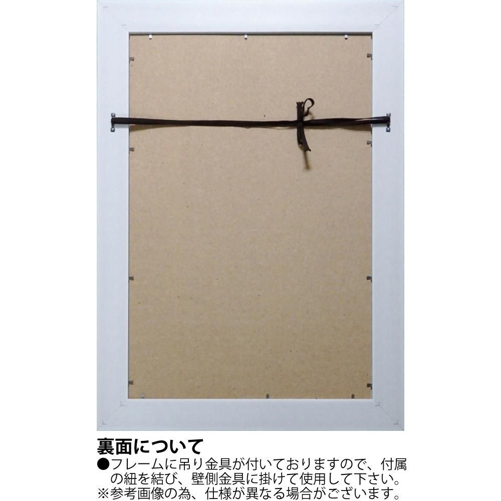 レントゲンフォト X RAY キャンバスアート「サンダーソニア(Mサイズ)」 巣ごもり インテリア 壁掛け モダン おしゃれ 透き通った 写真 リビング 玄関 飾る ギフト プレゼント