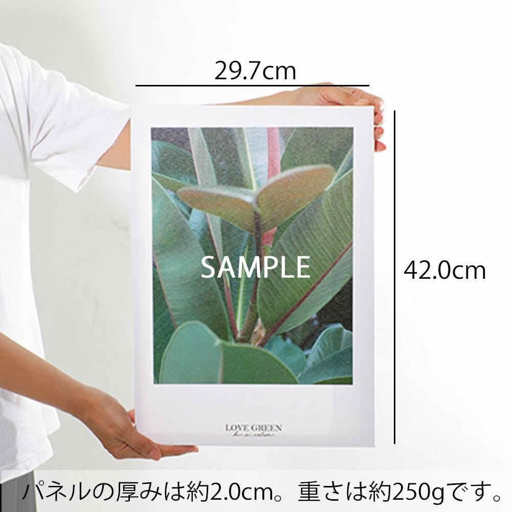 キャンバスパネル ナチュラルシリーズ A3-2 くり返しが完ぺきをつくる Mサイズ