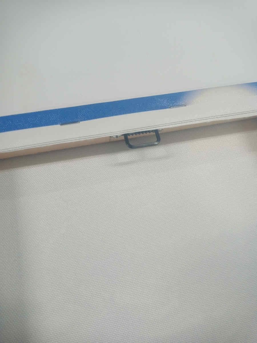 キャンバスパネル 直筆サイン入りキャンバスアート:八百板浩司/Seabass ゆうパケット Sサイズ