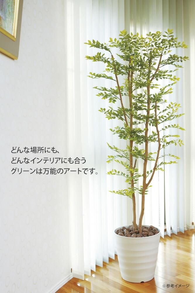 光触媒観葉植物 ゴールデンリーフ1.25 〔フロアタイプ〕 インテリア ...