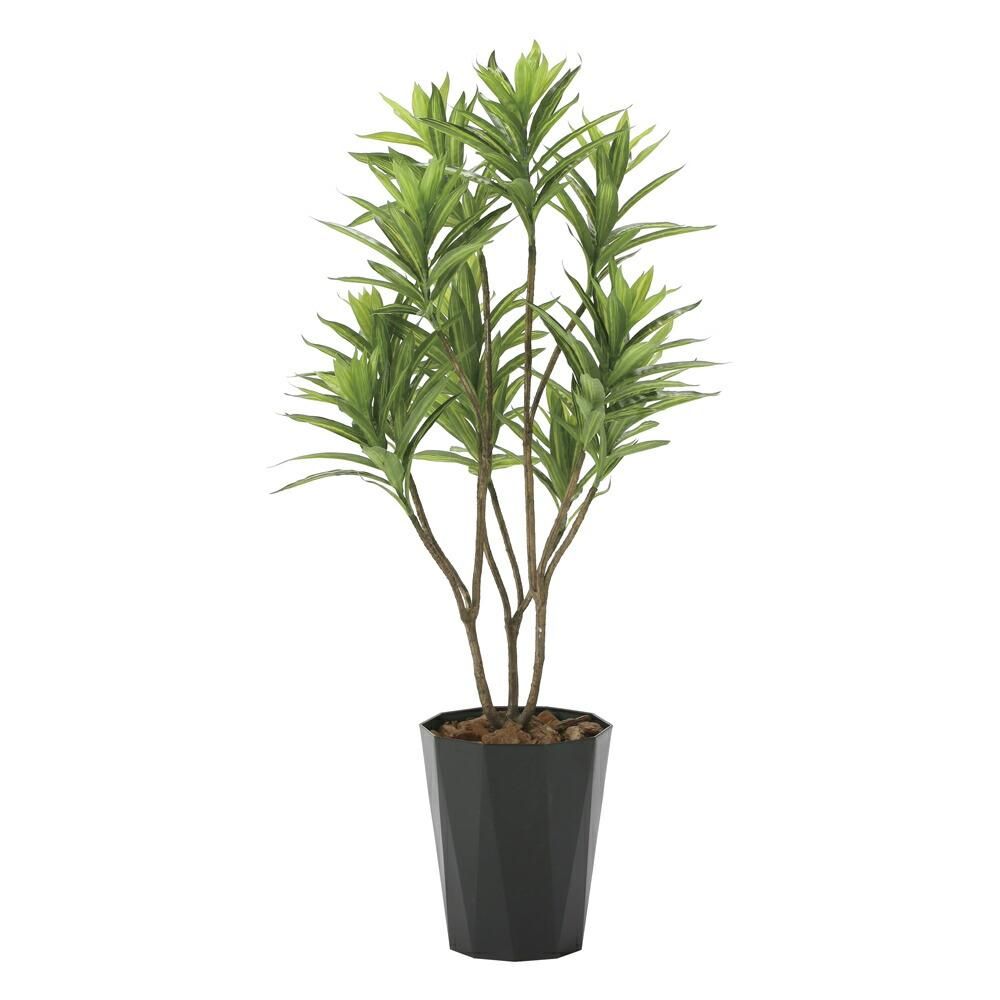 光触媒観葉植物 フレッシュドラセナ1.2 〔フロアタイプ〕 インテリア フェイクグリーン おしゃれ アートグリーン 緑 リビング 鉢植え プレゼント ギフト 玄関 キッチン 部屋に飾る 御祝 店舗