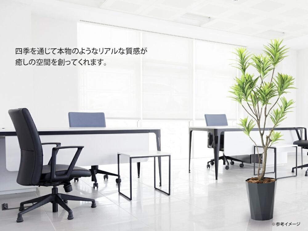 光触媒観葉植物 フレッシュドラセナ1.2 〔フロアタイプ〕 インテリア フェイクグリーン おしゃれ アートグリーン 緑 リビング 鉢植え プレゼント ギフト 玄関 キッチン 部屋に飾る 御祝 店舗