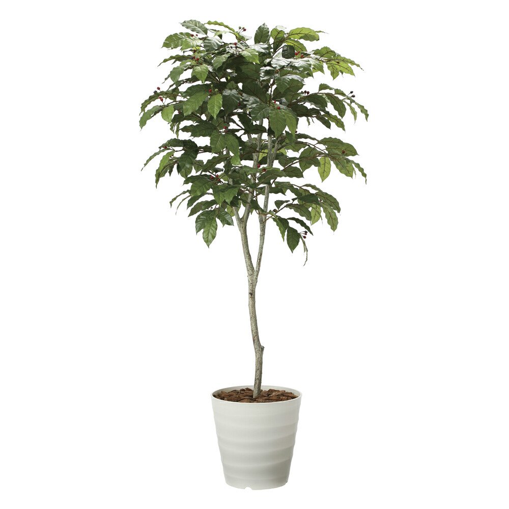 光触媒 人工観葉植物 ウォールグリーン フェイクグリーン コーヒーの木 