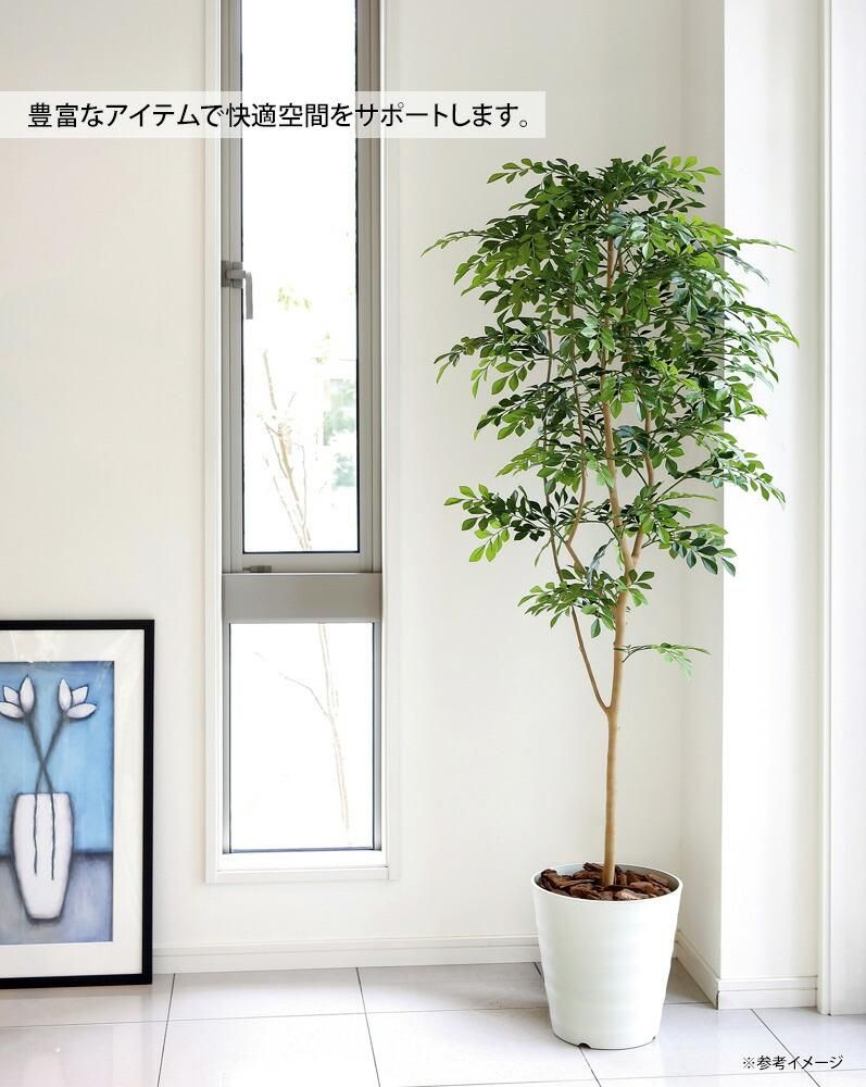 フェイク 木 ツリー 卓上 シンプル 観葉植物 交換無料！ - 花瓶 ...