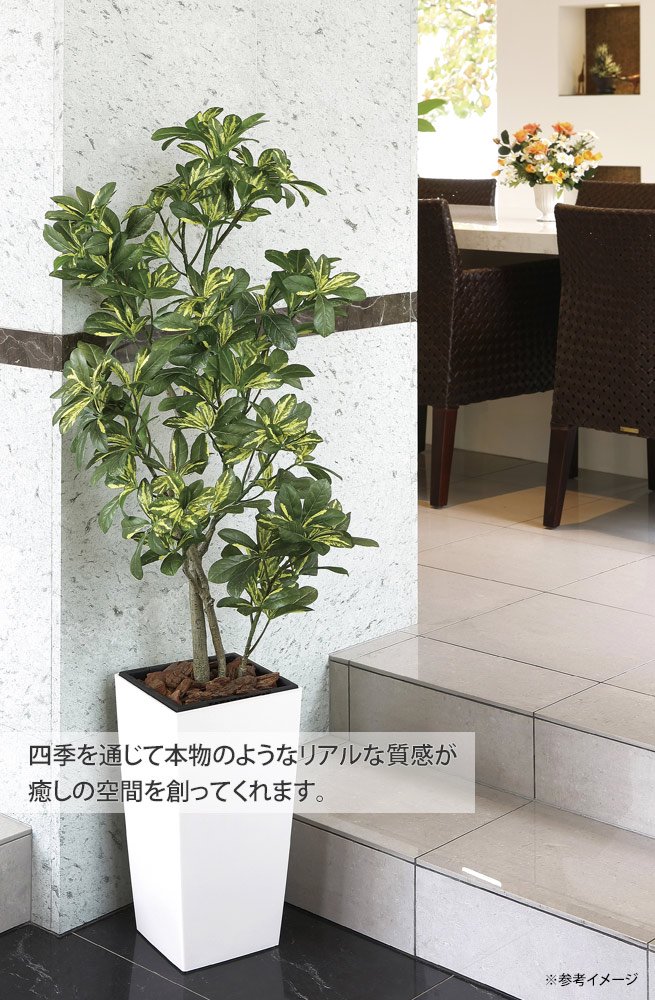 セール 光触媒観葉植物 パームツリー1 3 ポリ製 フロアタイプ インテリア フェイクグリーン おしゃれ アートグリーン 緑 リビング 鉢植え プレゼント ギフト 玄関 キッチン 部屋に飾る 御祝 店舗 オフィス 展示場 開店祝 引越祝 開業祝 贈答 記念 5lサイズ 造花 人工