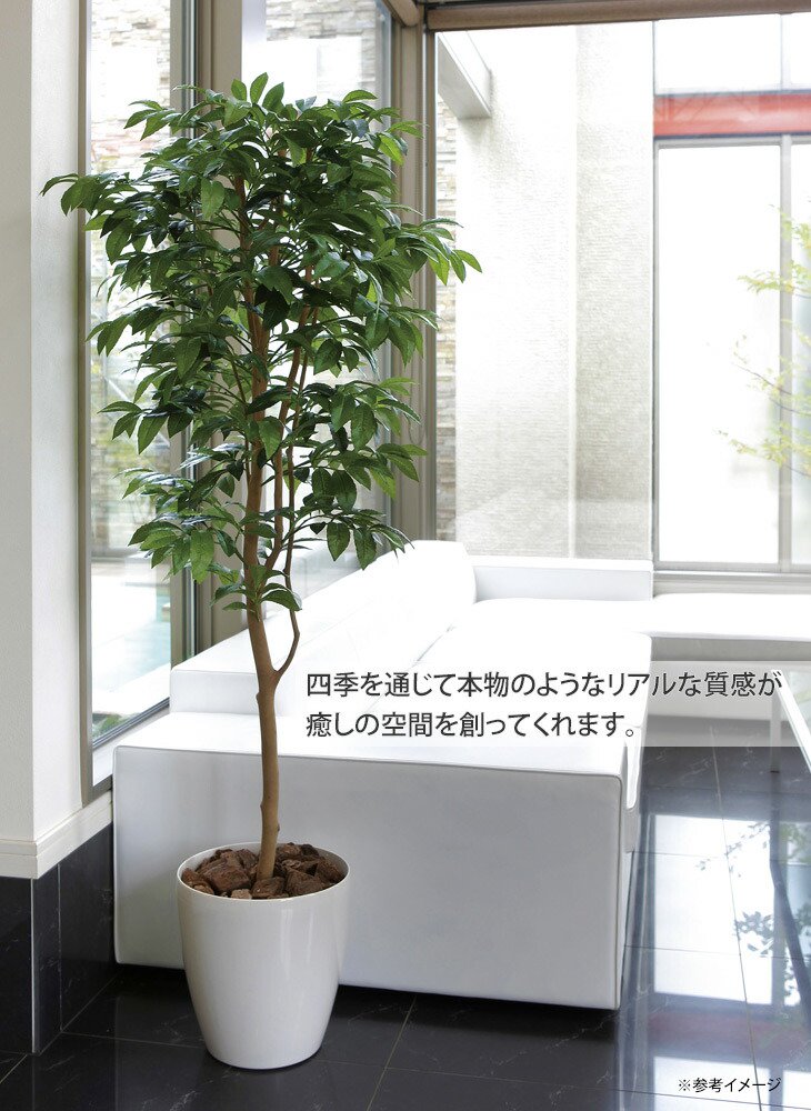 光触媒　人工観葉植物　フェイクグリーン　アルデシア(万両) 90cm