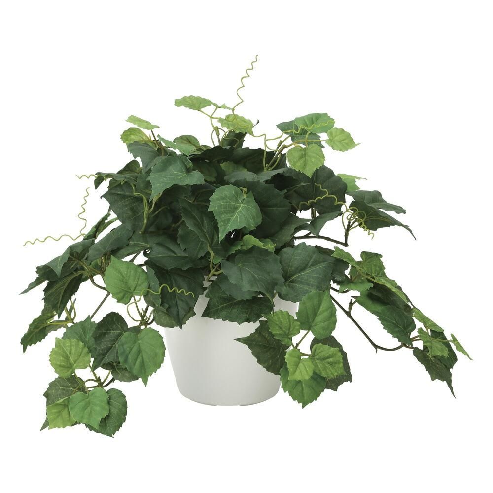 光触媒観葉植物 グレープ 〔テーブルタイプ〕 インテリア フェイクグリーン おしゃれ アートグリーン 緑 リビング 鉢植え プレゼント ギフト 玄関 キッチン 部屋に飾る 御祝 店舗