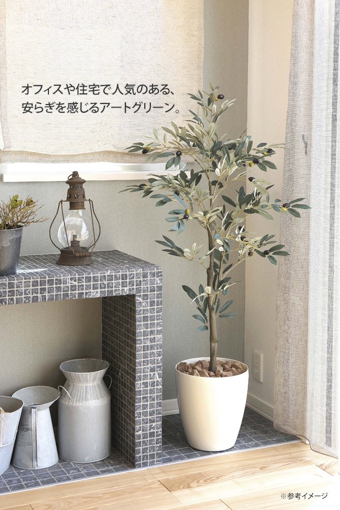 光触媒観葉植物 オリーブツリー 1.65 〔フロアタイプ〕 インテリア ...