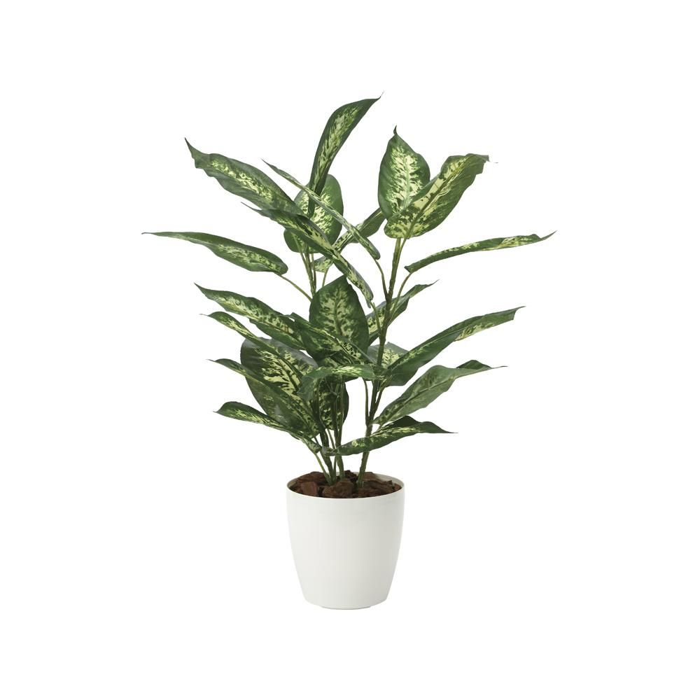 光触媒観葉植物 ディフェンバキア 〔テーブルタイプ〕 インテリア フェイクグリーン おしゃれ アートグリーン 緑 リビング 鉢植え プレゼント ギフト 玄関 キッチン 部屋に飾る 御祝 店舗
