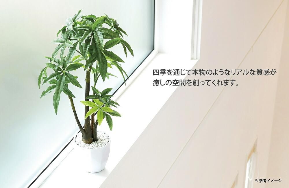 光触媒観葉植物 ディフェンバキア 〔テーブルタイプ〕 インテリア フェイクグリーン おしゃれ アートグリーン 緑 リビング 鉢植え プレゼント ギフト 玄関 キッチン 部屋に飾る 御祝 店舗