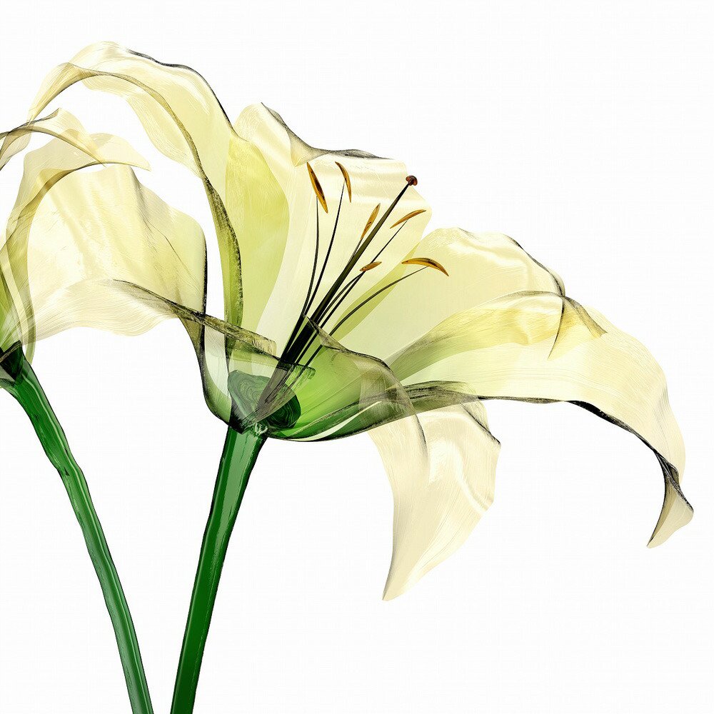 絵画 プチキャンバスアート Lily flower 300x300mm アートパネル