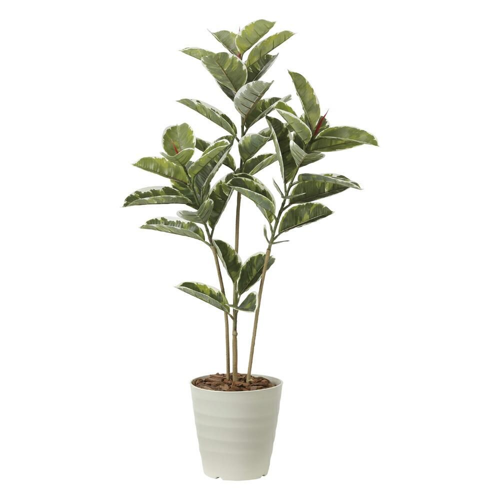 光触媒観葉植物アルテシマ1.2〔フロアタイプ〕