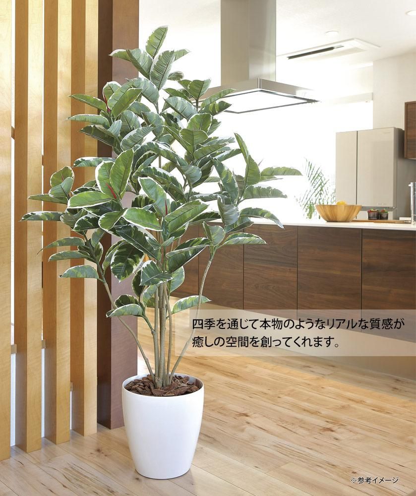 光触媒観葉植物アルテシマ1.2〔フロアタイプ〕