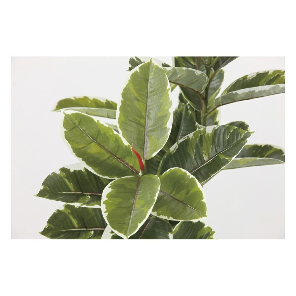 光触媒観葉植物アルテシマ1.2〔フロアタイプ〕