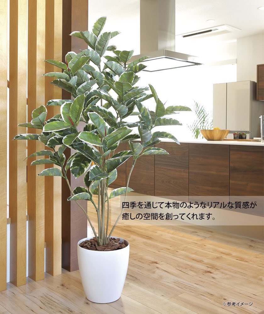 光触媒観葉植物ねむの木1.3(ポリ製)〔フロアタイプ〕 - 絵画や壁掛け