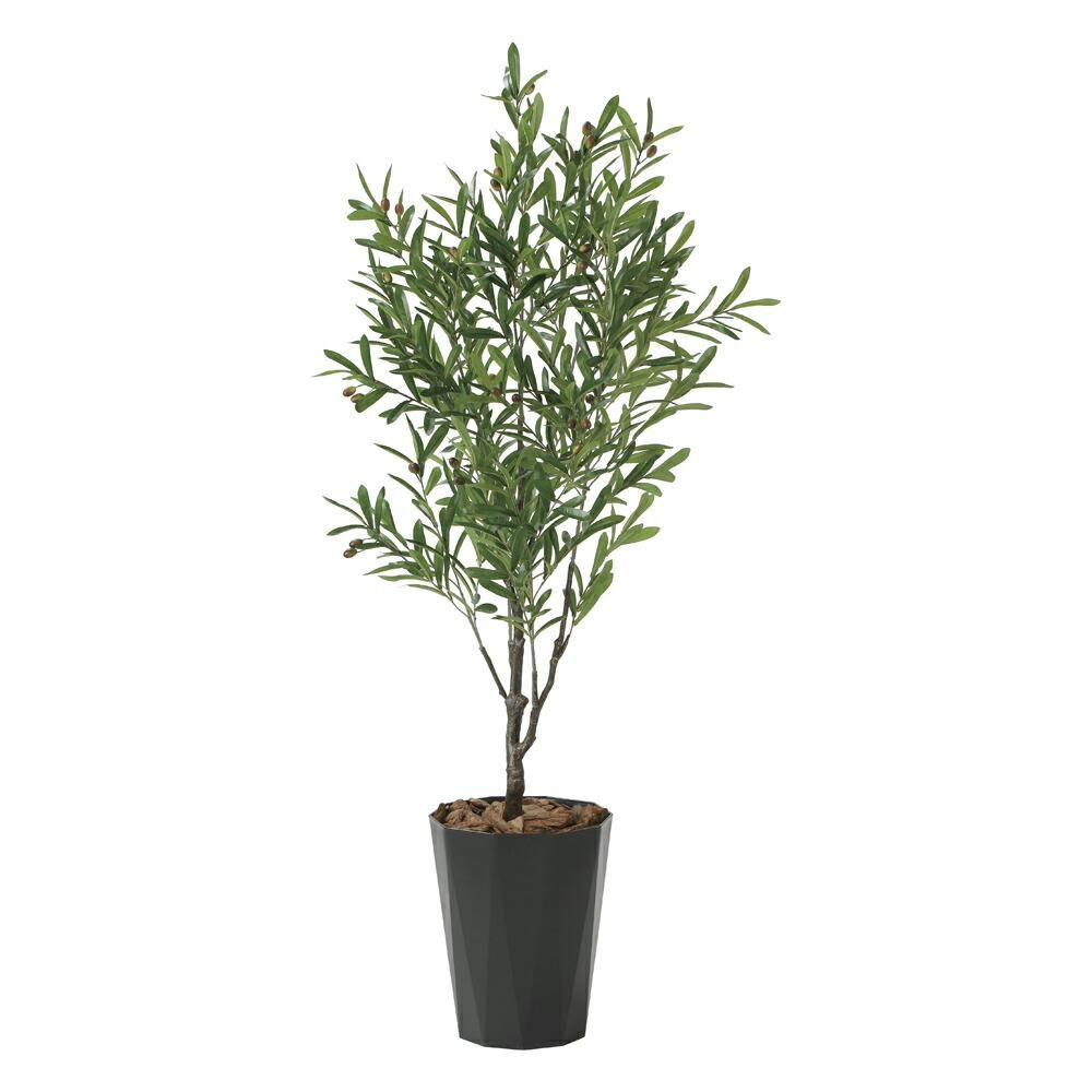 光触媒観葉植物オリーブ1.65〔フロアタイプ〕