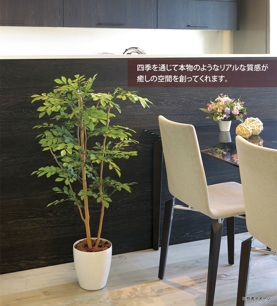 恵みの時 光触媒 人工観葉植物 ウォールグリーン ゴールデンフィカス