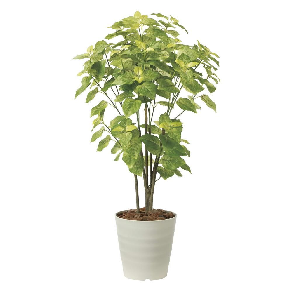 光触媒観葉植物ペリーラ1.0〔フロアタイプ〕