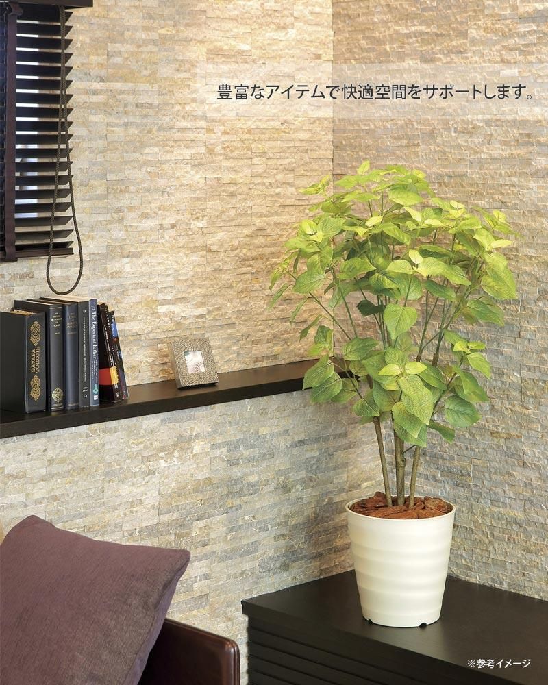 光触媒観葉植物ペリーラ1.0〔フロアタイプ〕