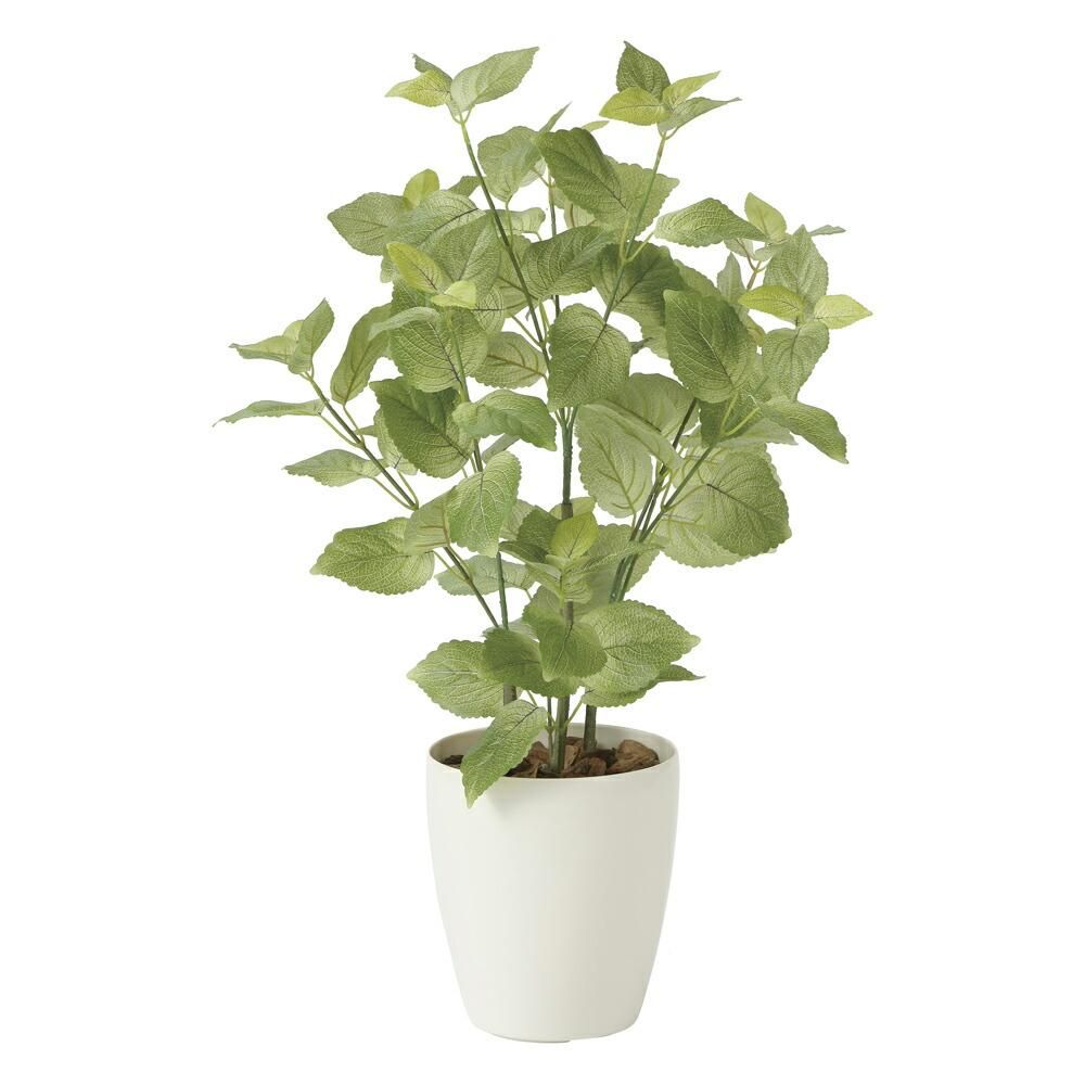 光触媒観葉植物ペリーラ70〔テーブルタイプ〕
