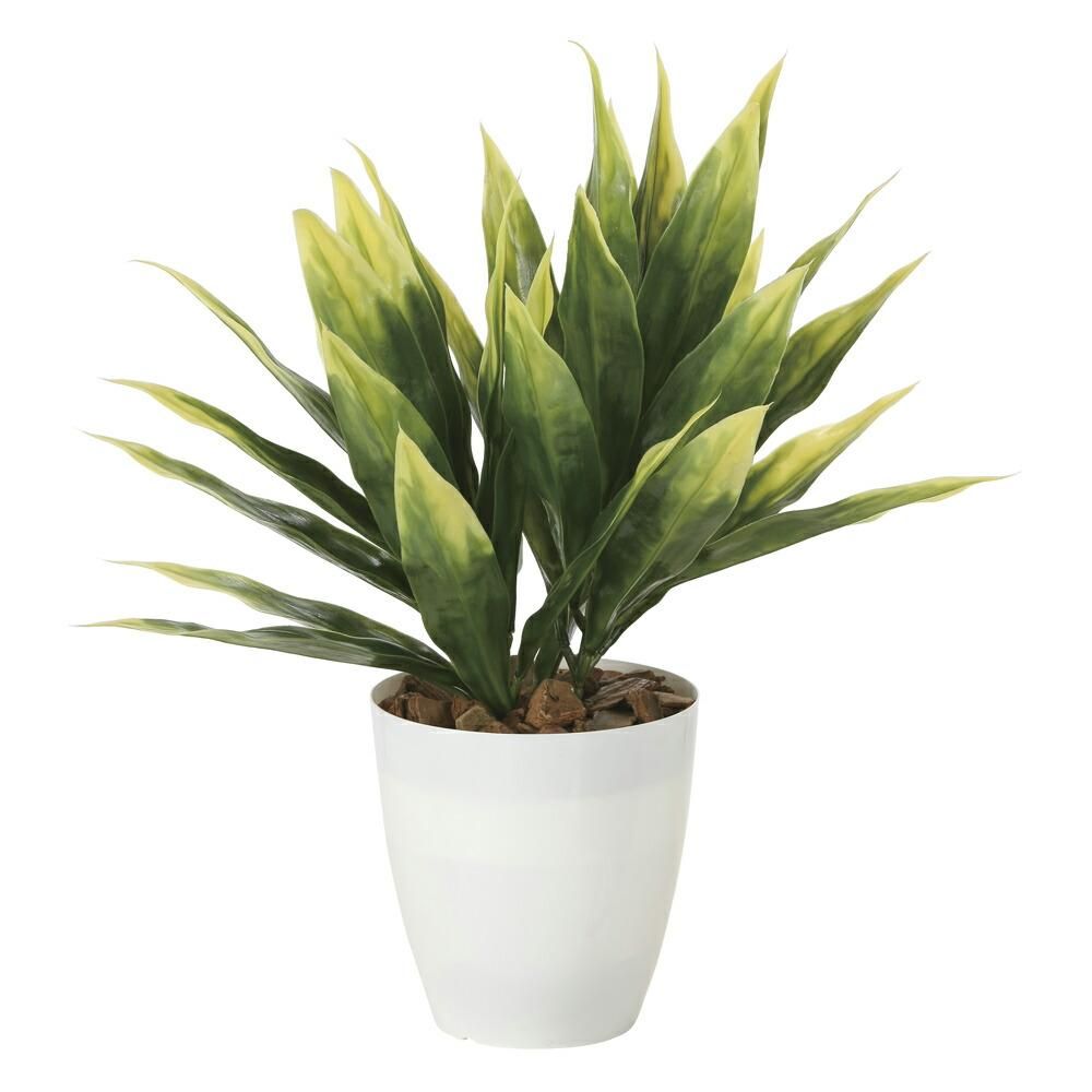 光触媒観葉植物ドラセナ(ポリ製)〔テーブルタイプ〕