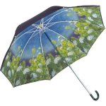 傘 折りたたみ傘(晴雨兼用) ダンフイ ナイ「ゴールデンアワー」