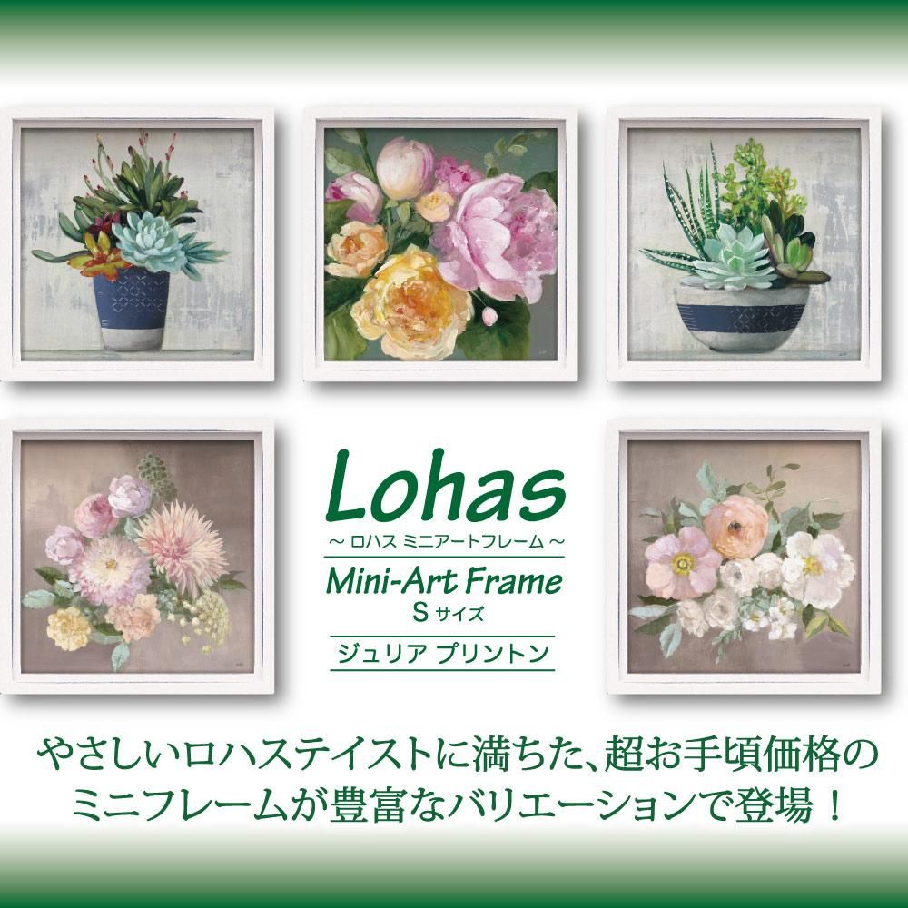 ボタニカルフレーム/ヴィンテージ植物画フレーム2枚組★定価22,000円 ボタニカルフレーム/ヴィンテージ植物画フレーム2枚組☆定価22,