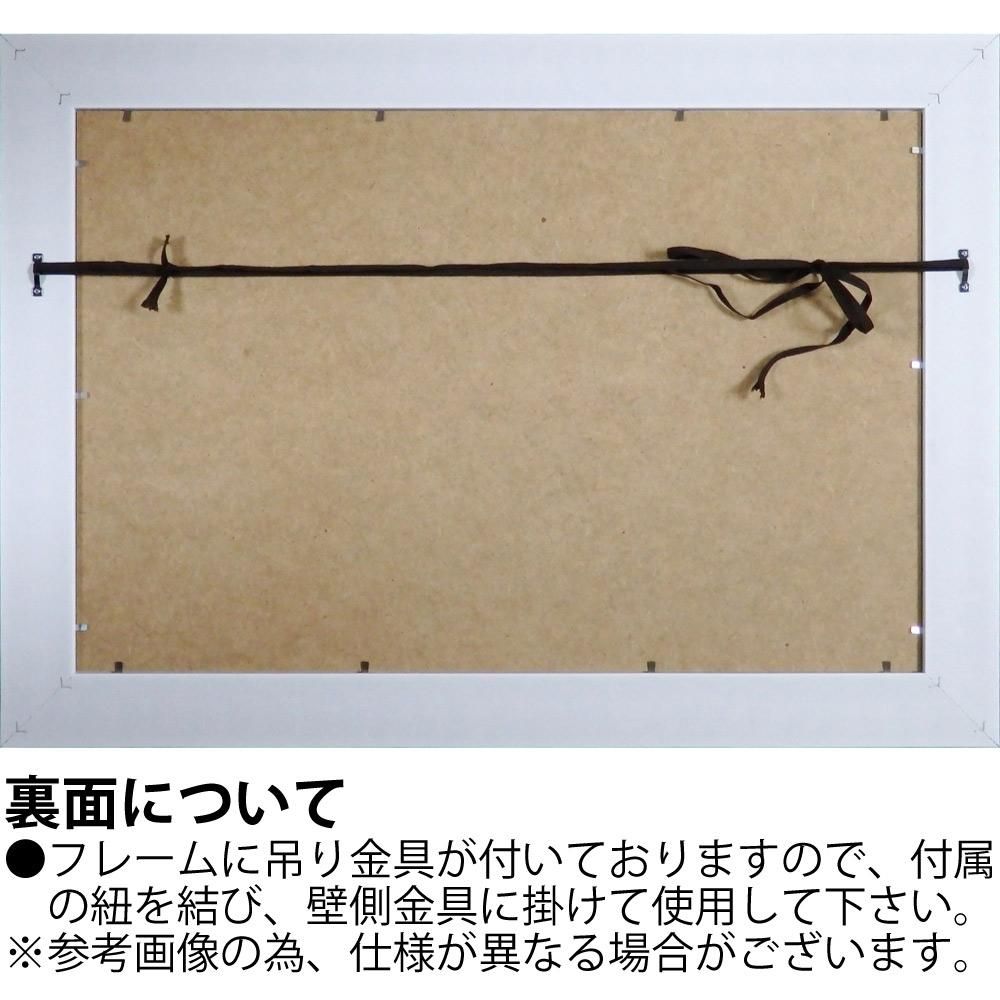 絵画 XRAYキャンバスアート「ピンクマグノリア(Mサイズ)」