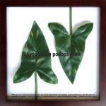 ԥ꡼եѥͥF-style Frame Syngonium podophyllum(󥴥˥ࡦݥɥե)