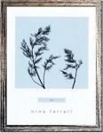 ԥϡ ȥե졼Nina Farrell Dill(ǥ)