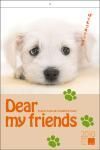 2010ǯҸDear my friendsɳM