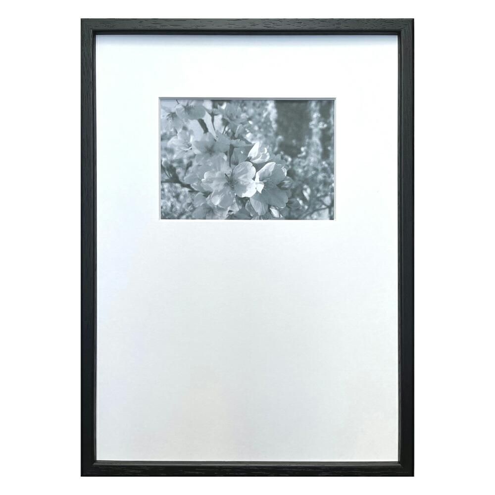 絵画 Photography art Sakura