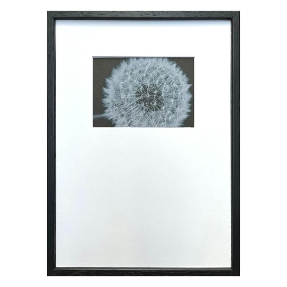 絵画 Photography art Dandeliaans(タンポポ)