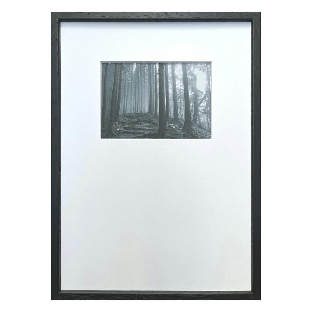 絵画 Photography art Forest(森)
