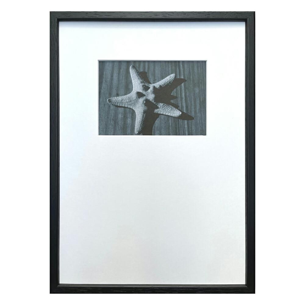 絵画 Photography art Star fish