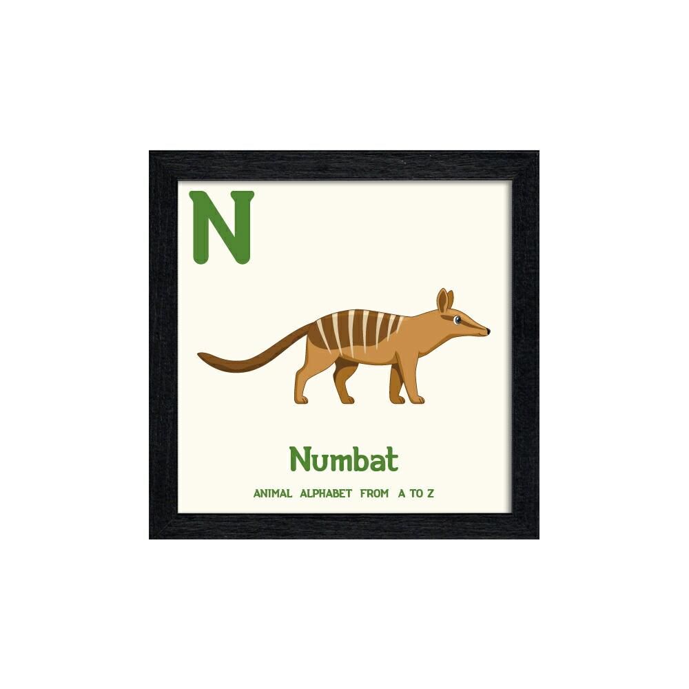 絵画 アニマルアルファベット Numbat(フクロアリクイ)