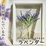ボタニカルフレーム - 絵画や壁掛け販売｜日本唯一の風景専門店