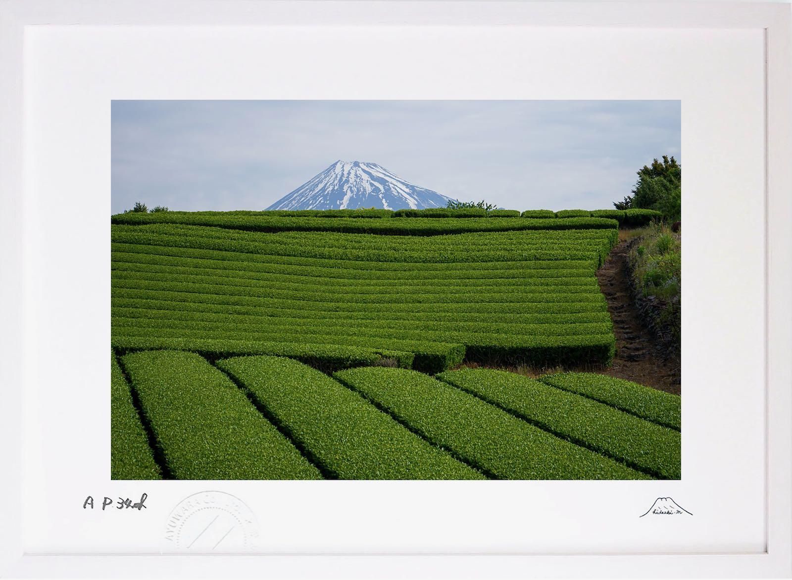 版画 絵画 茶畑富士 富士山