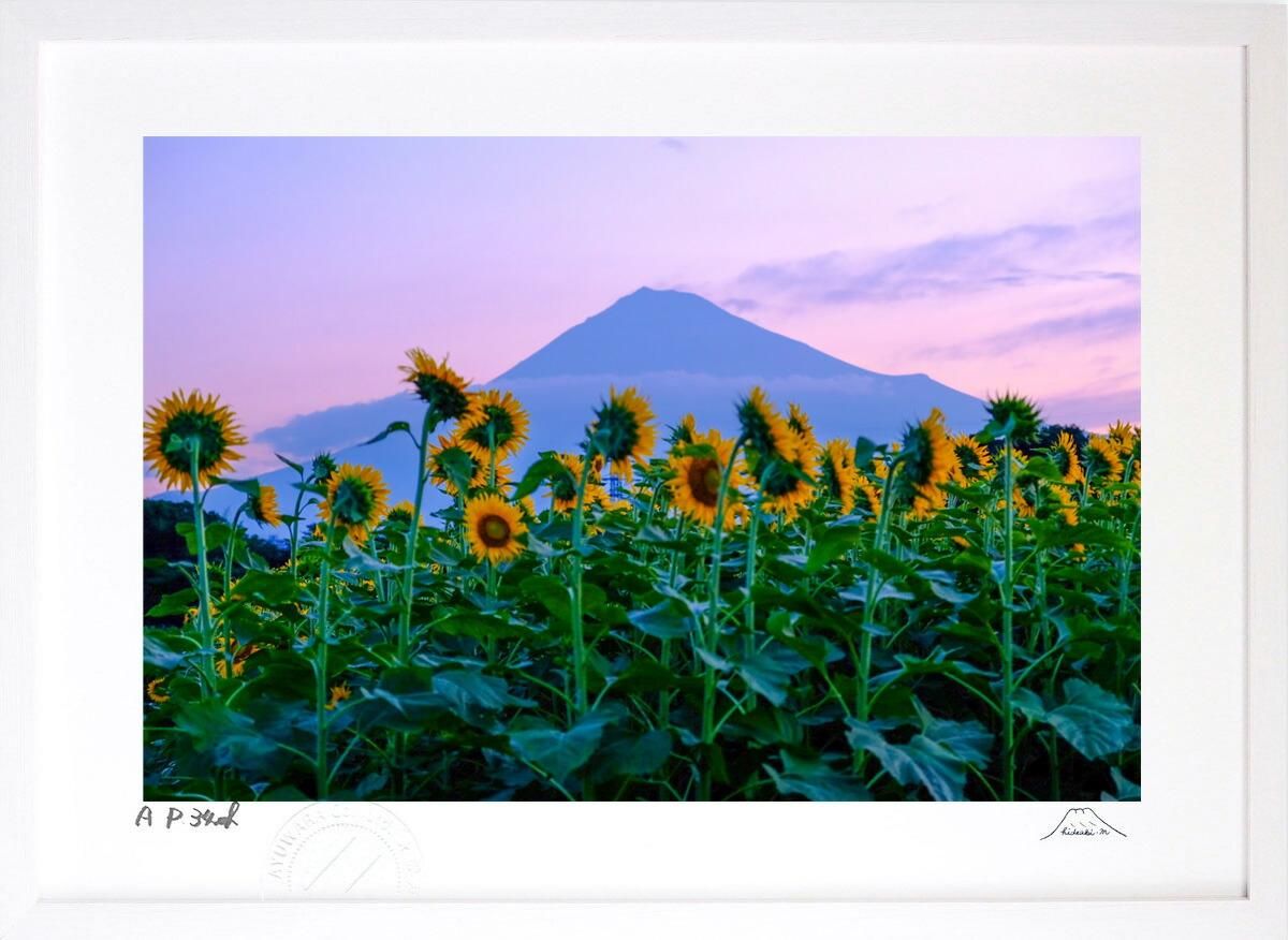 版画 絵画 富士山 ひまわり富士 インテリア 壁掛け 額入り 風景画 油絵 ポスター リビング 玄関 プレゼント モダン アートフレーム おしゃれ