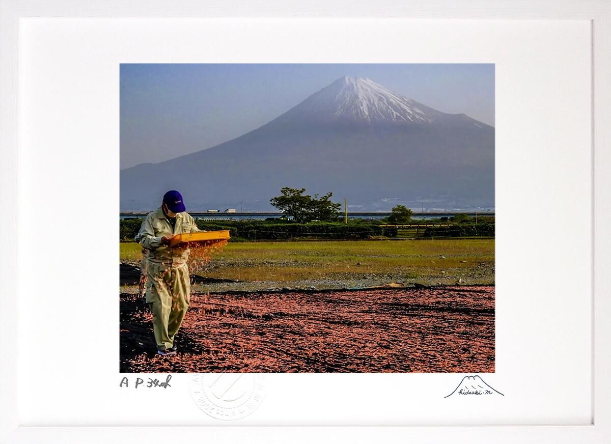 桜と富士山の写真 額入り - 美術品