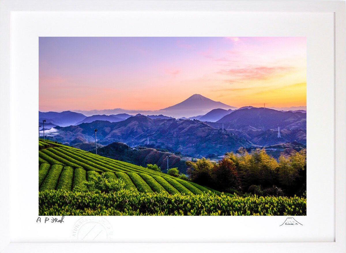輝い ご依頼品 風景画 アクリル画 原画「朝もやの富士山と茶畑②」F4 