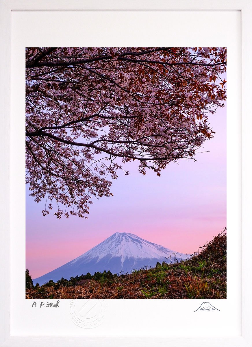 版画 絵画 富士山 一本桜と春 インテリア 壁掛け 額入り 風景画