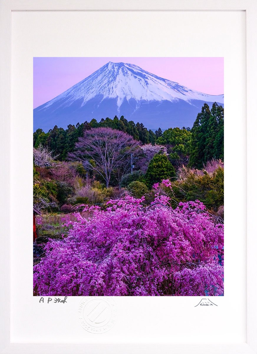 版画 絵画 富士山 春の朝 インテリア 壁掛け 額入り 風景画 油絵