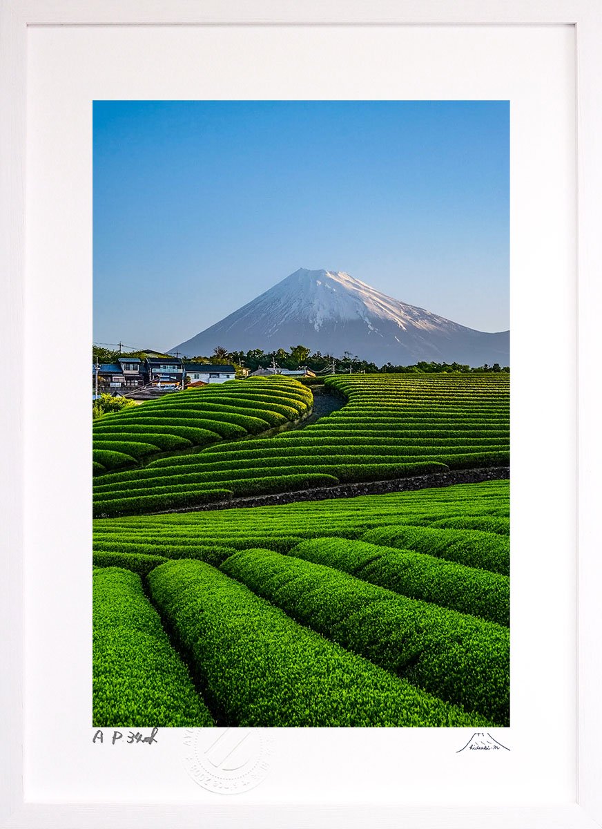 版画 絵画 富士山 茶畑と富士山 インテリア 壁掛け 額入り 風景画 油絵 