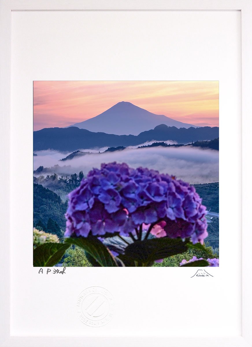 版画 絵画 富士山 朝焼けアジサイ インテリア 壁掛け 額入り 風景画 油絵 ポスター リビング 玄関 プレゼント モダン アートフレーム おしゃれ  - 絵画や壁掛け販売｜日本唯一の風景専門店(R)あゆわら